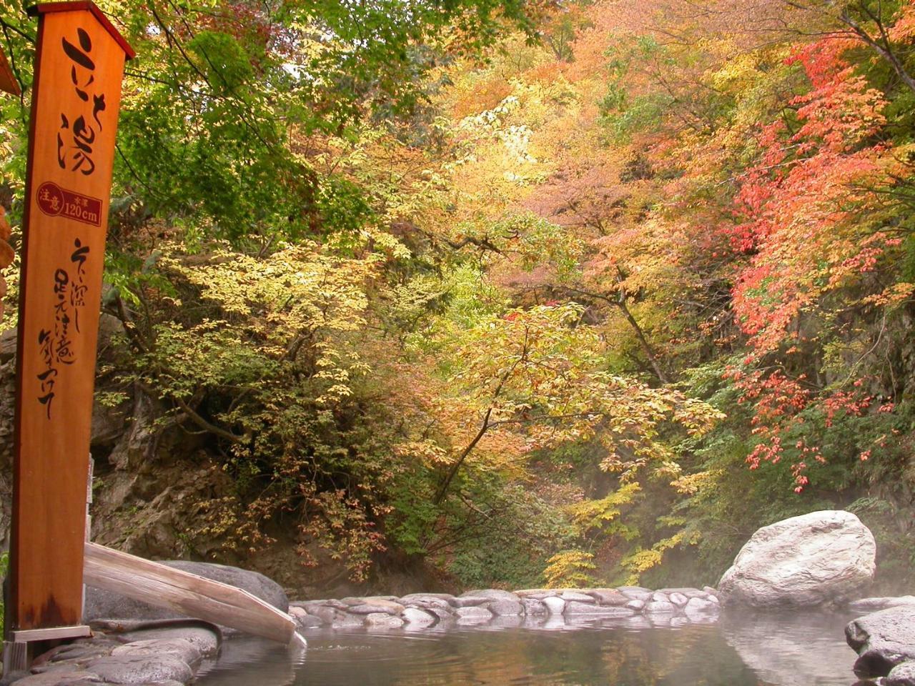 Sakunami Onsen Yuzukushi Salon Ichinobo Sendai Luaran gambar